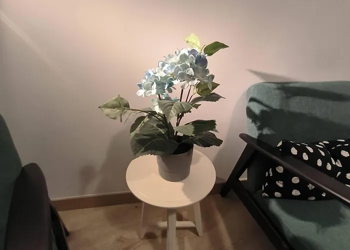 Zabala Conoce Desde Dentro - Free Parking * Бильбао