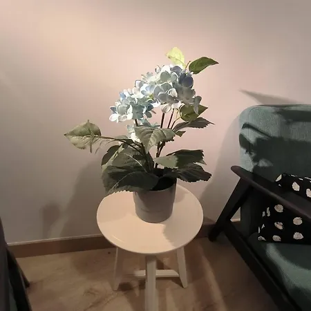 Zabala Conoce Desde Dentro - Free Parking * Bilbao